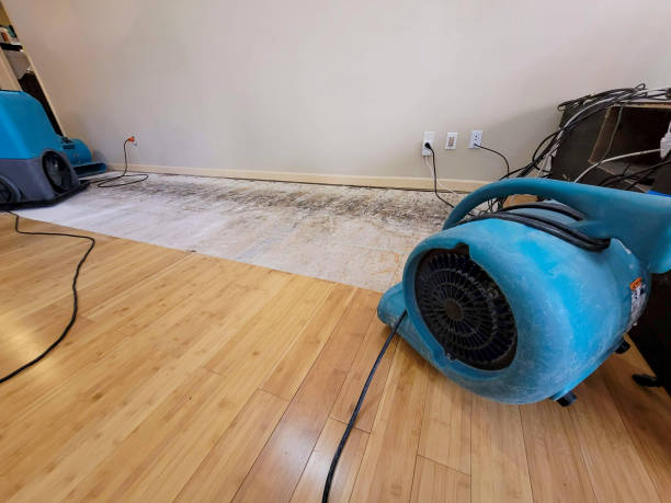 Professional Ceiling Water Damage Repair technician working in Orient, NY
